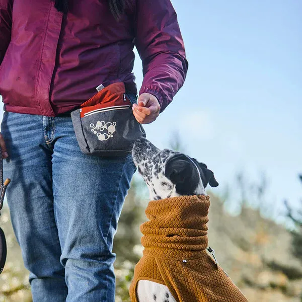 ECO Treat Pocket Pouch | Hedge