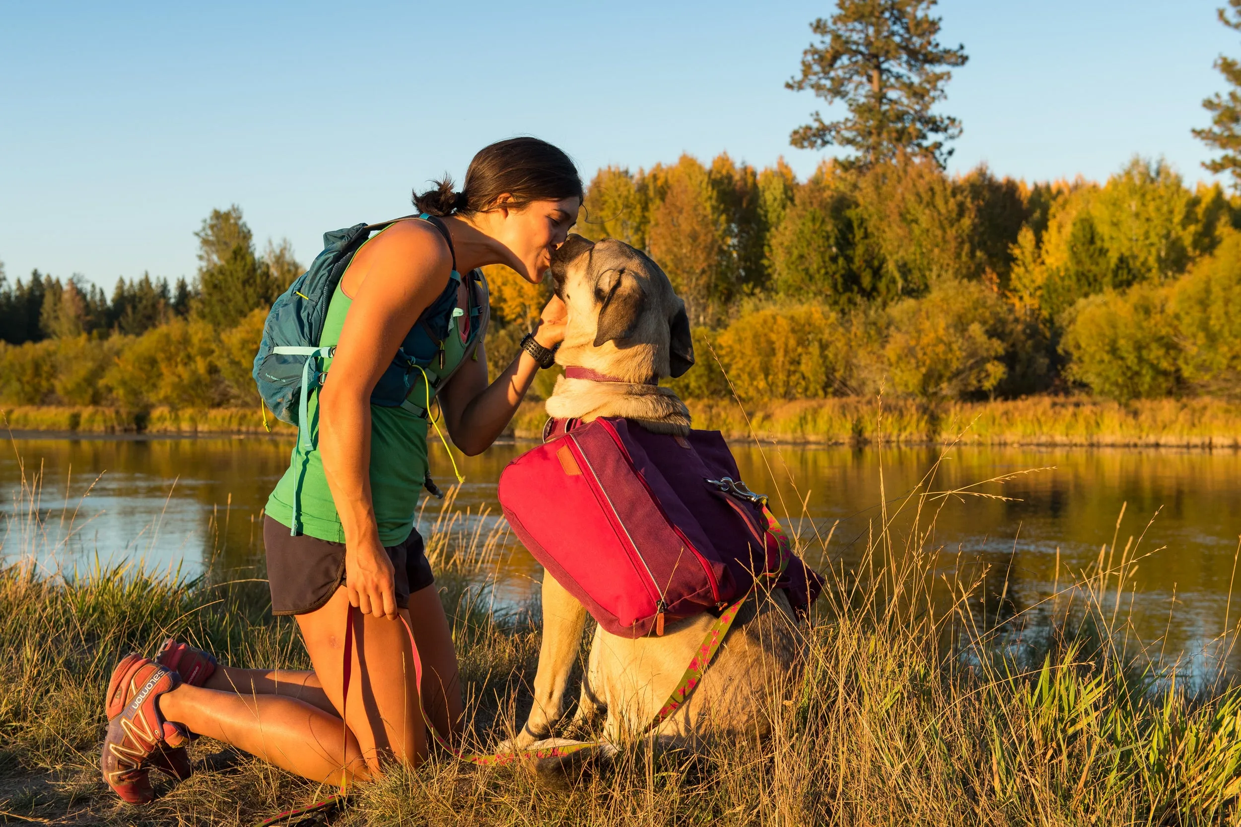 Ruffwear Dog Pack: Commuter Pack in Lackspur Purple